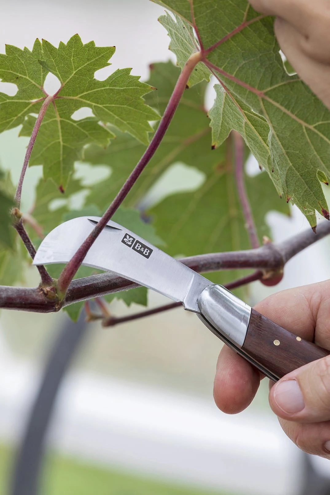 Taschenmesser 4 Taschenmesser – Bild 2