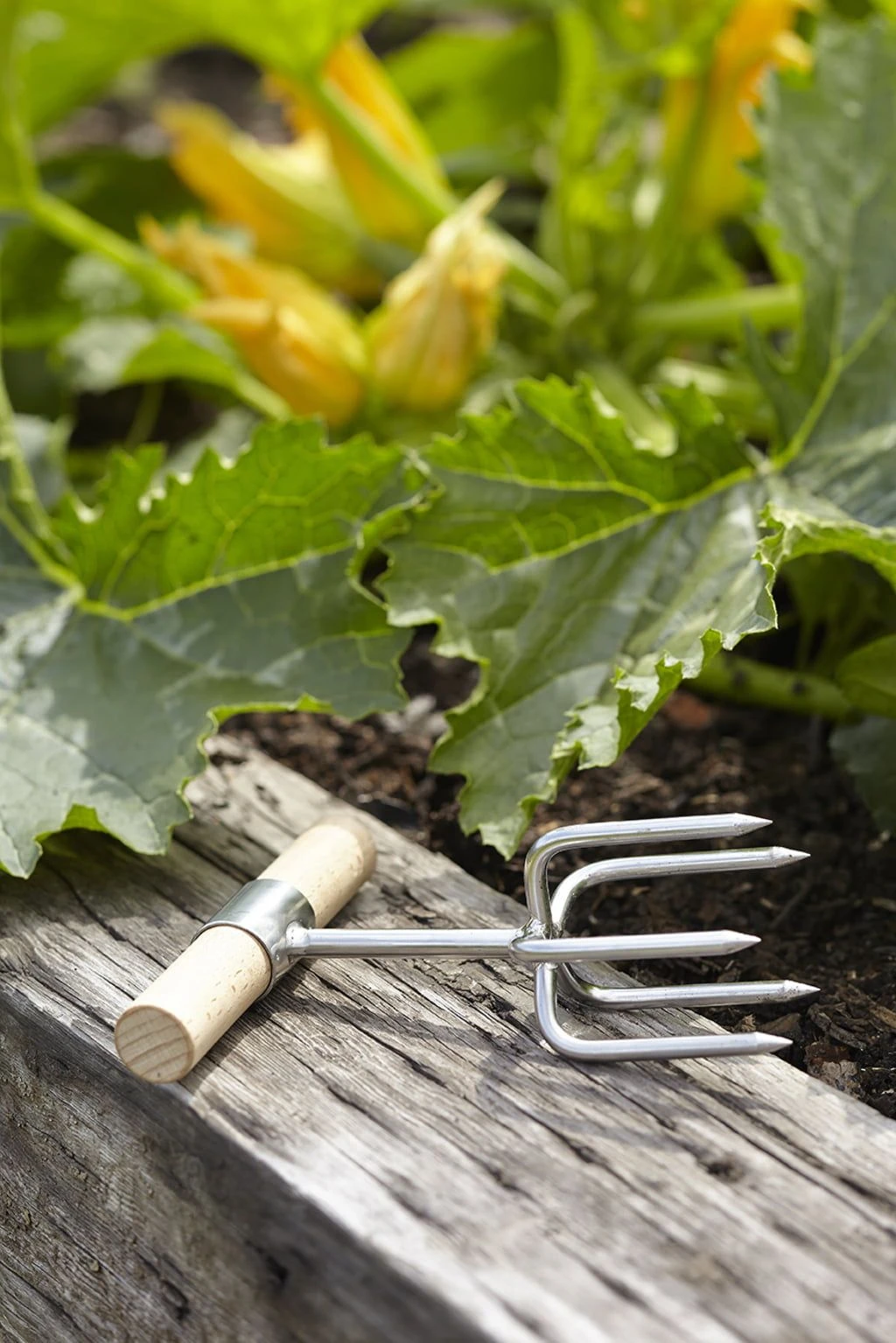 Twist Kultivator Von Sophie Conran 5 Twist Kultivator Von Sophie Conran – Bild 3