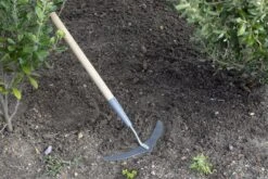 Unkraut Harke "Super Slice" -Pflanzensamen Rabatt burgon ball unkraut harke super slice 1 stk 671367 de