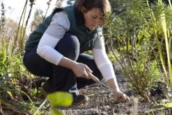 Unkrautgabel -Pflanzensamen Rabatt burgon ball unkrautgabel 1 st 1675141 de