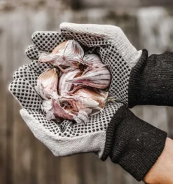 Gartenhandschuhe Basic, M (1 Paar) -Pflanzensamen Rabatt by benson gartenhandschuhe basic l 1683283 de