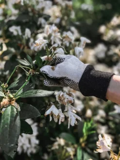 Gartenhandschuhe Basic, M (1 Paar) -Pflanzensamen Rabatt by benson gartenhandschuhe basic l 1683284 de