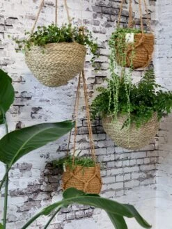 Blumenampel Korb Natur, H14/D18 Cm -Pflanzensamen Rabatt chic antique blumenampel korb natur 1607732 de