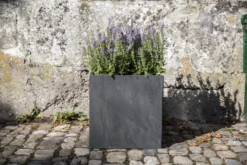 Pflanzkübel CUBI 40 -Pflanzensamen Rabatt climaqua pflanzkuebel cubi 40 1 st 1677451 de