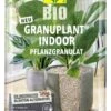 Compo Bio Indoor-Pflanzgranulat, 12,5 Liter (12,50 L) -Pflanzensamen Rabatt compo bio indoor pflanzgranulat 125 litra 1683201 de