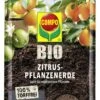Compo BIO Zitruspflanzenerde Torffrei, 10 L -Pflanzensamen Rabatt compo bio zitruspflanzenerde torffrei 10 l 1659970 de