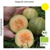 Bio Honigmelone Amelia -Pflanzensamen Rabatt culinaris bio honigmelone amelia 1 paket 1683599 de