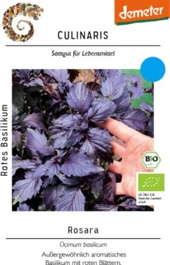 Bio Rotes Basilikum Rosara -Pflanzensamen Rabatt culinaris bio rotes basilikum rosara 1 paket 1683565 de