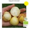 Bio Tomatillo Aurora -Pflanzensamen Rabatt culinaris bio tomatillo aurora 1 paket 1683591 de