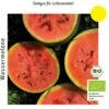 Bio Wassermelone Blacktail Mountain 1 Bio Wassermelone Blacktail Mountain -Pflanzensamen Rabatt culinaris bio wassermelone blacktail mountain 1 paket 1683593 de