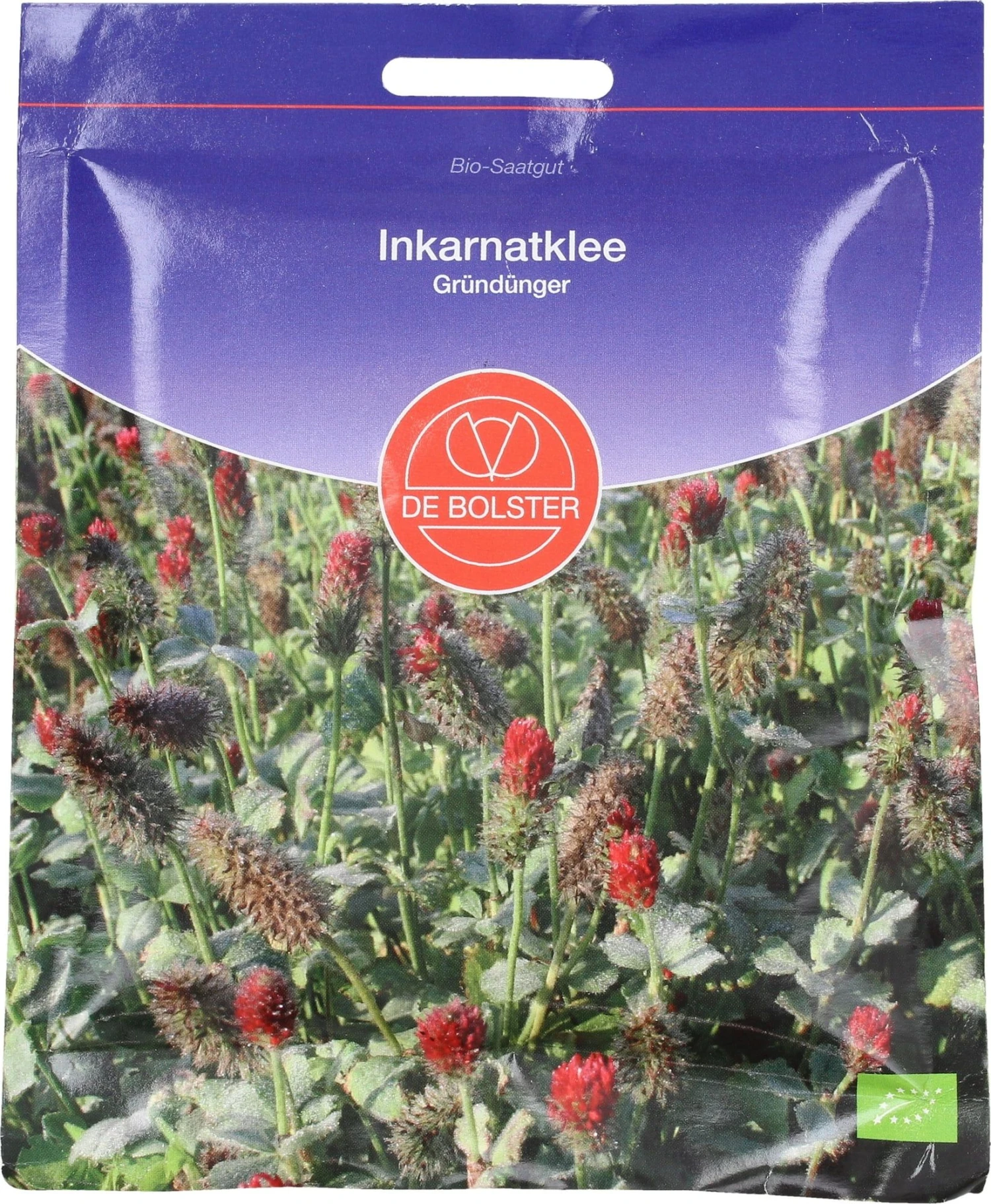 Gründünger Inkarnatklee, 75 G 5 Gründünger Inkarnatklee, 75 G – Bild 3