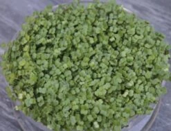 Keimsprossen "Brokkoli", 25 G -Pflanzensamen Rabatt de bolster keimsprossen brokkoli 25 g 1647408 de