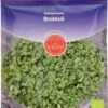 Keimsprossen "Brokkoli", 25 G 1 Keimsprossen "Brokkoli", 25 G -Pflanzensamen Rabatt de bolster keimsprossen brokkoli 25 g 1650472 de