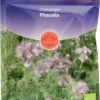 Phacelia, 50 G 1 Phacelia, 50 G -Pflanzensamen Rabatt de bolster phacelia 50 g 1650741 de