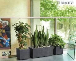 Pflanztopf "Quadro Millenium" Mit Wasserreservoir - Anthrazit, 39 Cm -Pflanzensamen Rabatt deroma pflanztopf millenium 39 cm mit wasserreservoir anthrazit 1631613 de
