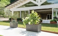 Pflanztopf "Quadro Millenium" Mit Wasserreservoir - Anthrazit, 39 Cm -Pflanzensamen Rabatt deroma pflanztopf quadro millenium mit wasserreservoir anthrazit 1 st 1668643 de