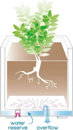 Pflanztopf "Quadro Millenium" Mit Wasserreservoir - Anthrazit, 39 Cm -Pflanzensamen Rabatt deroma pflanztopf quadro millenium mit wasserreservoir anthrazit 1 st 1668645 de