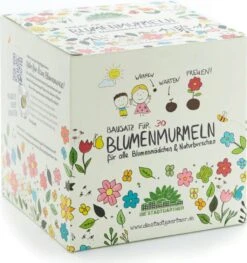 Blumenmurmeln Bausatz 24 Blumenmurmeln Bausatz -Pflanzensamen Rabatt die stadtgaertner blumenmurmeln bausatz 1 set 1673267 de