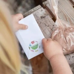 Blumenmurmeln Bausatz 16 Blumenmurmeln Bausatz -Pflanzensamen Rabatt die stadtgaertner blumenmurmeln bausatz 1 set 1673271 de