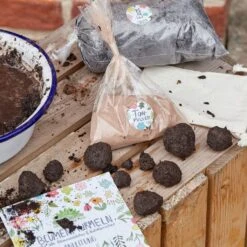 Blumenmurmeln Bausatz 23 Blumenmurmeln Bausatz -Pflanzensamen Rabatt die stadtgaertner blumenmurmeln bausatz 1 set 1673272 de