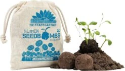 Samenbomben "Gänseblümchen", 8 Stück -Pflanzensamen Rabatt die stadtgaertner samenbomben gaensebluemchen 8 st 1663300 de