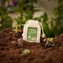 Samenbomben "Gänseblümchen", 8 Stück