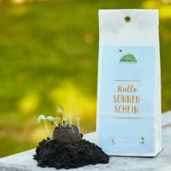 Samenbomben "Hallo Sonnenschein"