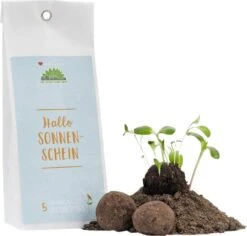 Samenbomben "Hallo Sonnenschein" -Pflanzensamen Rabatt die stadtgaertner samenbomben hallo sonnenschein 1 set 1670308 de