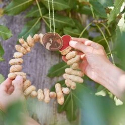 Tierfutter "Erdnusskränzchen" -Pflanzensamen Rabatt die stadtgaertner tierfutter erdnusskraenzchen 1 stk 1283618 de