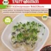BIO-Keimsprossen Basilikum 2 BIO-Keimsprossen Basilikum -Pflanzensamen Rabatt duerr samen bio keimsprossen basilikum 1 paket 1675563 de
