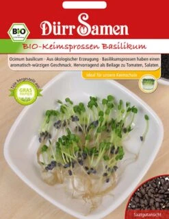 BIO-Keimsprossen Basilikum