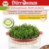 BIO-Keimsprossen Blattzichorie -Pflanzensamen Rabatt duerr samen bio keimsprossen blattzichorie 1 pkg 1043383 de