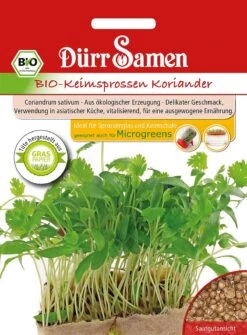 BIO-Keimsprossen Koriander
