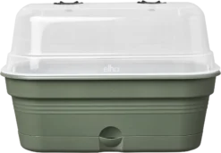 Elho Anzuchtschalen-Set Green Basics Allin1 - M, Laubgrün -Pflanzensamen Rabatt elho anzuchtschalen set green basics allin1 m verde foglia 1404374 de