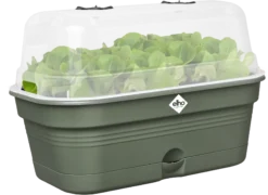 Elho Anzuchtschalen-Set Green Basics Allin1 - M, Laubgrün -Pflanzensamen Rabatt elho anzuchtschalen set green basics allin1 m verde foglia 1404398 de