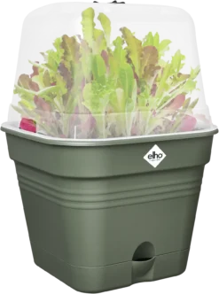 Elho Anzuchttopf Set Green Basics 15cm - Quadrat, Laubgrün -Pflanzensamen Rabatt elho anzuchttopf set green basics 15cm quadrat verde foglia 1405381 de