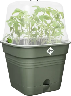 Elho Anzuchttopf Set Green Basics 20cm - Quadrat, Laubgrün -Pflanzensamen Rabatt elho anzuchttopf set green basics 20cm quadrat verde foglia 1405685 de