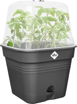Elho Anzuchttopf Set Green Basics 35cm - Quadrat, Living Schwarz -Pflanzensamen Rabatt elho anzuchttopf set green basics 35cm quadrat nero 1406678 de