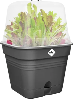 Elho Anzuchttopf Set Green Basics 35cm - Quadrat, Living Schwarz -Pflanzensamen Rabatt elho anzuchttopf set green basics 35cm quadrat nero 1406719 de