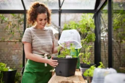 Elho Anzuchttopf Set Green Basics 35cm - Quadrat, Living Schwarz -Pflanzensamen Rabatt elho anzuchttopf set green basics 35cm quadrat nero 1406733 de