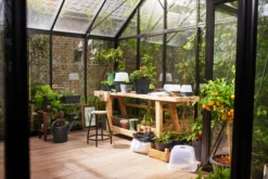 Elho Anzuchttopf Set Green Basics 35cm - Quadrat, Living Schwarz -Pflanzensamen Rabatt elho anzuchttopf set green basics 35cm quadrat nero 1406775 de