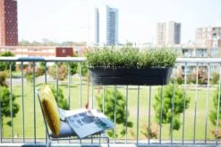 Elho Balkon Support Für Barcelona 70&90 Cm, Anthrazit -Pflanzensamen Rabatt elho balkon support fuer barcelona 7090 cm antracit 1669187 de