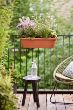 Elho Balkonkasten - Noa L, Terra -Pflanzensamen Rabatt elho balkonkasten noa l terra 1688090 de