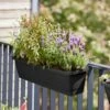 Elho Balkonkasten - Noa M, Living Schwarz -Pflanzensamen Rabatt elho balkonkasten noa m living schwarz 1601259 de