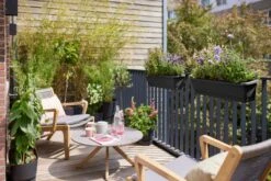 Elho Balkonkasten - Noa M, Living Schwarz -Pflanzensamen Rabatt elho balkonkasten noa m living schwarz 1601261 de