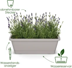 Elho Balkonkasten - Noa XL, Living Schwarz -Pflanzensamen Rabatt elho balkonkasten noa xl living schwarz 1687966 de