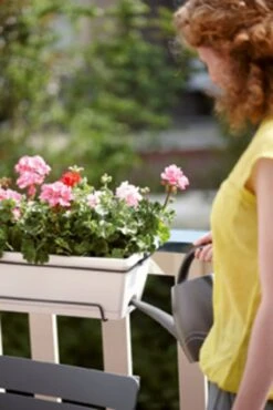 Elho Barcelona Allin1 50 Cm, Anthrazit -Pflanzensamen Rabatt elho barcelona allin1 50 cm 1662808 de