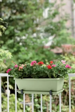 Elho Barcelona Balkonkasten 50 Cm, Pistazien Grün -Pflanzensamen Rabatt elho barcelona balkonkasten 50 cm pistaschgroen 1667233 de