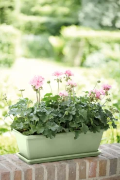 Elho Barcelona Balkonkasten 50 Cm, Pistazien Grün -Pflanzensamen Rabatt elho barcelona balkonkasten 50 cm pistazien gruen 1598859 de