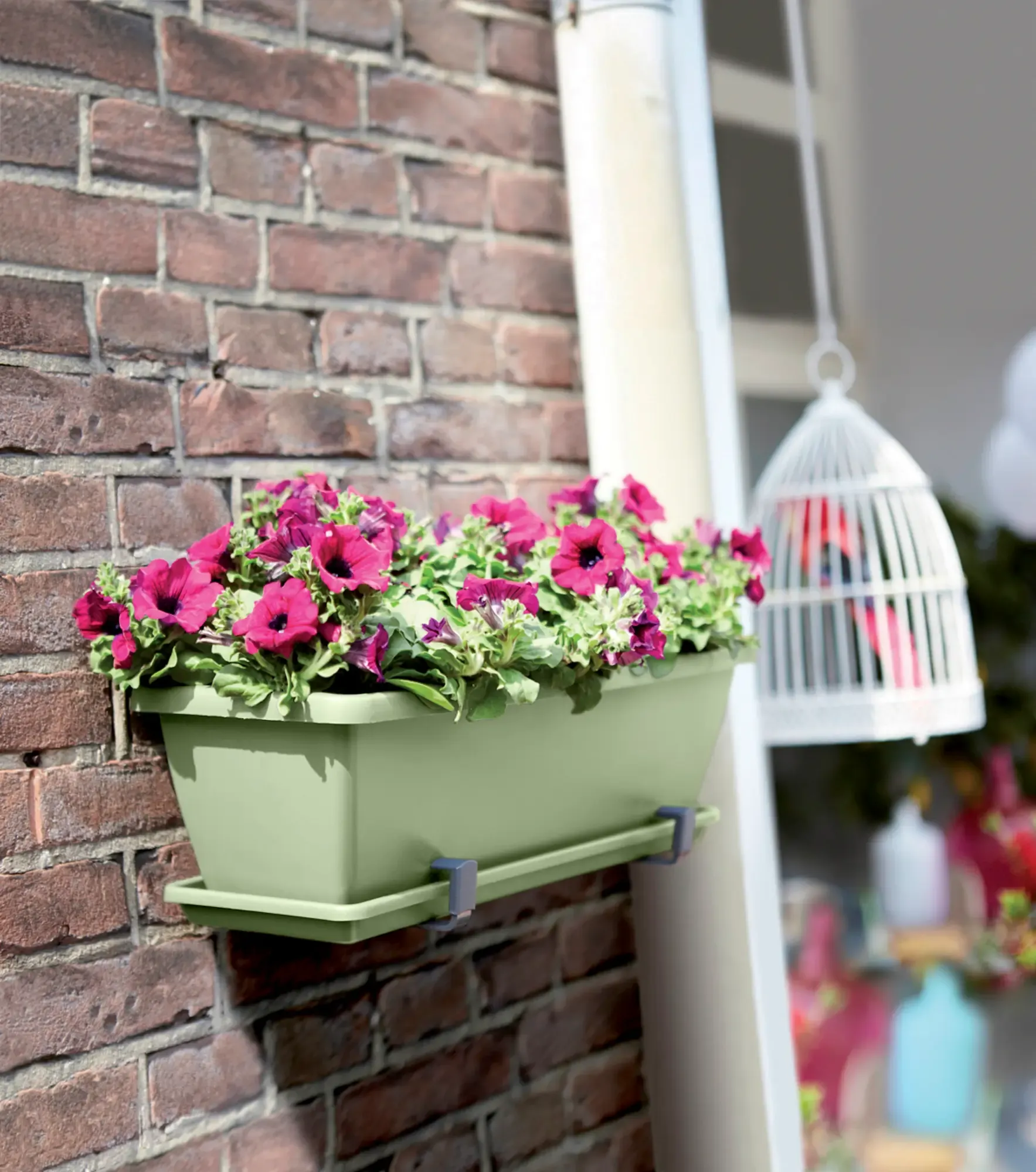 Elho Barcelona Balkonkasten Untersetzer 50 Cm, Pistazien Grün 3 Elho Barcelona Balkonkasten Untersetzer 50 Cm, Pistazien Grün